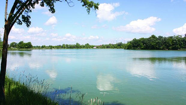 Alexandria MN